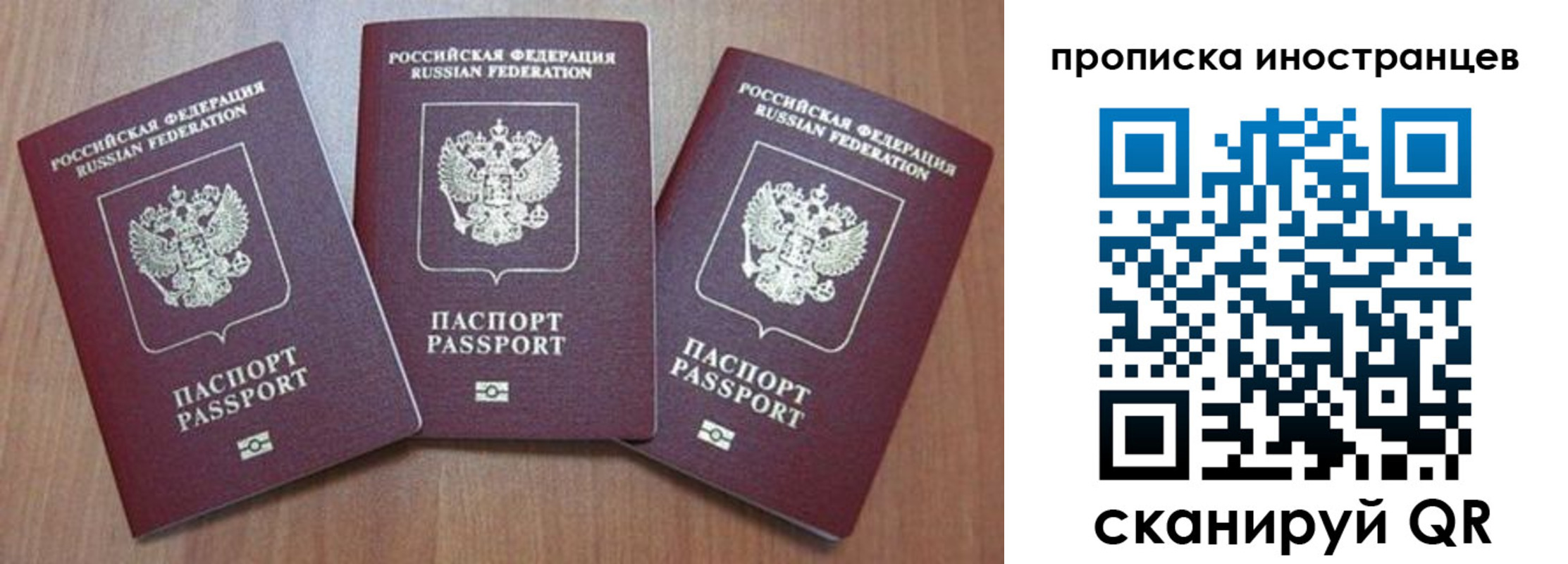 где прописаться в Опочке